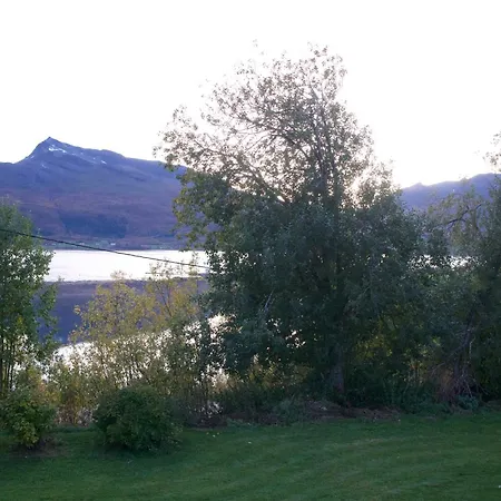 Villa Nordic With Outdoor Jacuzzi And Aurora Borealis View *