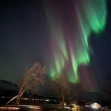 Nordic With Outdoor Jacuzzi And Aurora Borealis View Villa Stornes