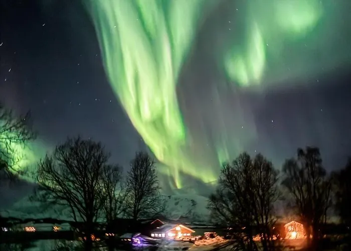Nordic With Outdoor Jacuzzi And Aurora Borealis View *